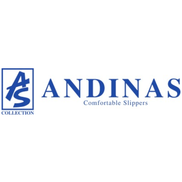 Logo Andinas